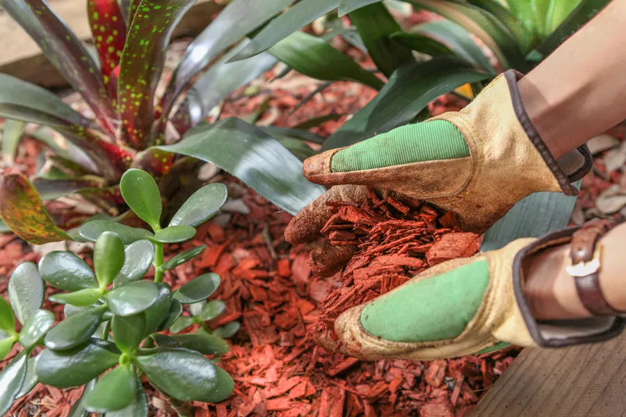 Mulch Delivery and Application